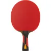 Ракетка для н/т DOUBLE FISH 7A+C, для професс.,ITTF Appr.,накл.2,1мм,+ 2 мяча V40+мм ITTF Appr за 3&nbsp;559.80 ₽ купить в Пензе