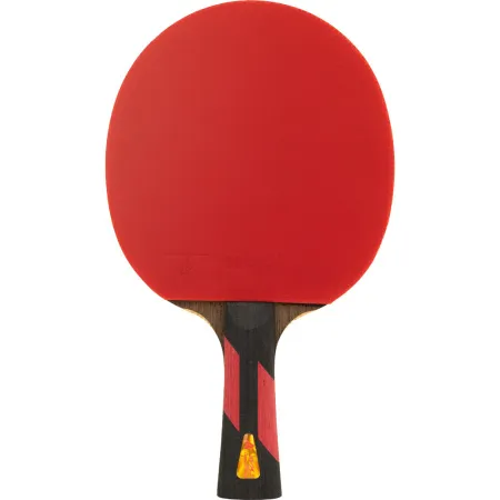 Ракетка для н/т DOUBLE FISH 7A+C, для професс.,ITTF Appr.,накл.2,1мм,+ 2 мяча V40+мм ITTF Appr за 3&nbsp;559.80 ₽ купить в Пензе