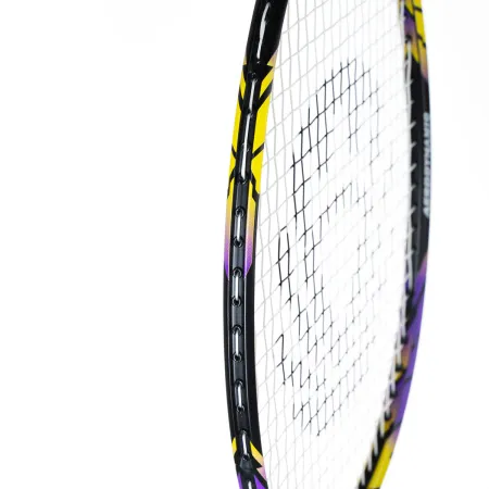 Ракетка бадм. TORRES Carbon PRO6, BD20521,для продв., стерж/обод из карбона,со струнами, фиол за 4&nbsp;477.80 ₽ купить в Пензе