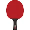 Ракетка для н/т DOUBLE FISH Black Carbon King Racket 5*****, для професс.,ITTF Appr.,накл.2,1,мм за 6&nbsp;434.50 ₽ купить в Пензе