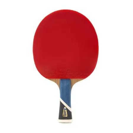 Ракетка для н/т DOUBLE FISH 5A+C, для продвин, ITTF Appr, накл. 2,1 мм, конич. ручка+ 2 мяча V40+мм за 2&nbsp;779.50 ₽ купить в Пензе