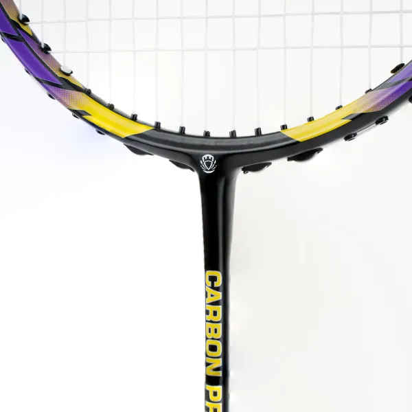 Ракетка бадм. TORRES Carbon PRO6, BD20521,для продв., стерж/обод из карбона,со струнами, фиол за 4&nbsp;477.80 ₽ в Пензе